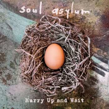 2LP Soul Asylum: Hurry Up And Wait
