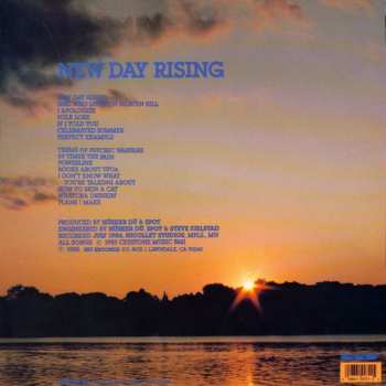 LP Hüsker Dü: New Day Rising