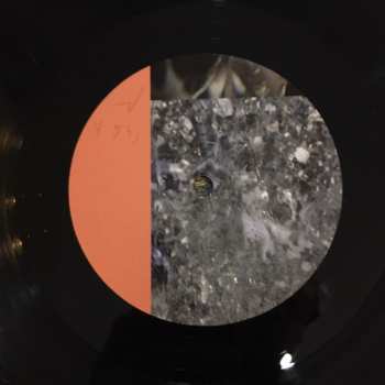 2LP Hvide Sejl:  Brazil