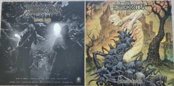 LP Hyperdontia: Hideous Entity