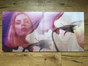 2LP I Break Horses: Warnings CLR