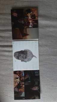 2CD I Musici di Francesco Guccinì: Ronin