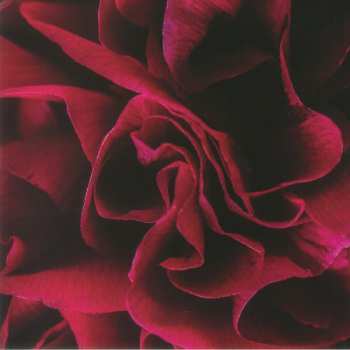 Album Ian Boddy: Coil