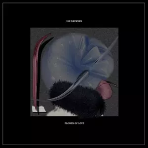 Ian Drennan: Flower Of Love