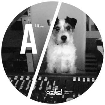 Ian Pooley: Turakina EP