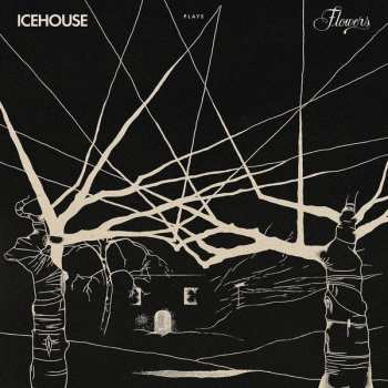 2LP Icehouse: Icehouse Plays Flowers CLR