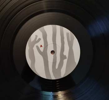 LP Idaho: Levitate