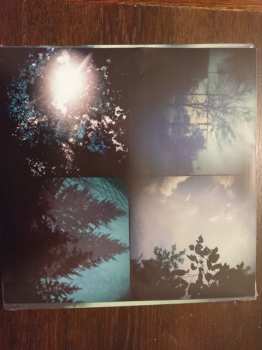 LP If These Trees Could Talk: Above The Earth, Below The Sky