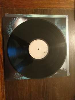 LP If These Trees Could Talk: Above The Earth, Below The Sky