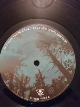 LP If These Trees Could Talk: Above The Earth, Below The Sky