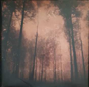 LP If These Trees Could Talk: Red Forest