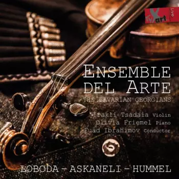 Konzert Für Violine & Kammerorchester