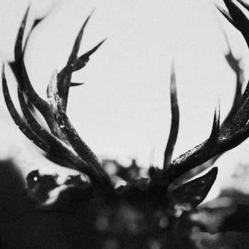 Album Ihsahn: Ihsahn