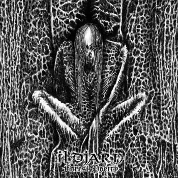 Forest Poetry