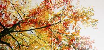 2LP Ludovico Einaudi: In A Time Lapse