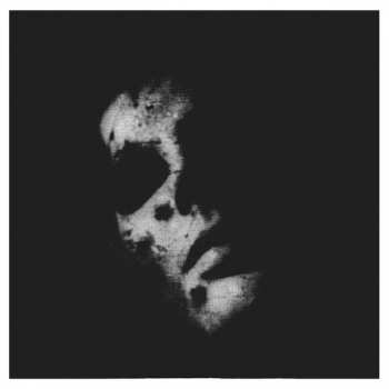 CD/Dobozkészlet In Solitude: Sister DLX | LTD