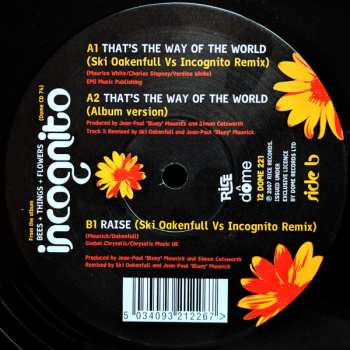 LP Incognito: That's The Way Of The World