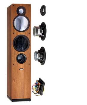 Audiotechnika Indiana Line Tesi 561 - Walnut