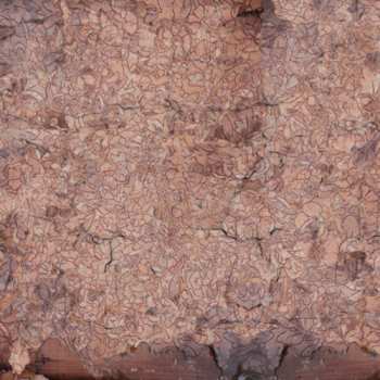 Album Indignant Senility: Consecration Of The Whipstain