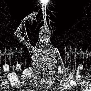 Album Infesticide / In Obscurit: Split