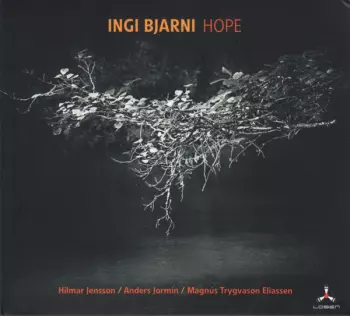 Ingi Bjarni Skúlason: Hope