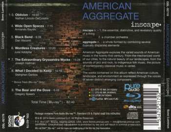 CD/Blu-ray Inscape: American Aggregate