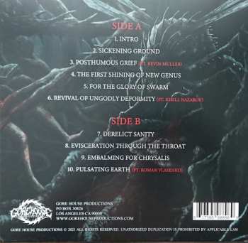 LP Insect Inside: The First Shining Of New Genus