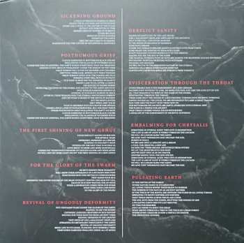 LP Insect Inside: The First Shining Of New Genus