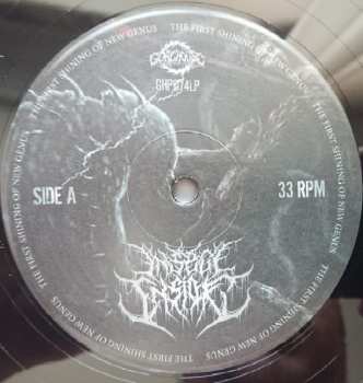 LP Insect Inside: The First Shining Of New Genus