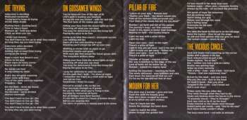 CD Intrinsic: Nails LTD