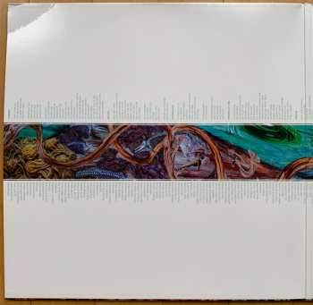 LP Intronaut: Fluid Existential Inversions LTD | NUM | CLR