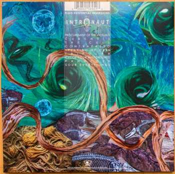 LP Intronaut: Fluid Existential Inversions LTD | NUM | CLR