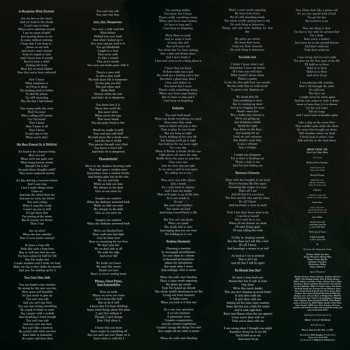 LP Iron Chic: You Can't Stay Here LTD | CLR