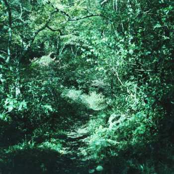Album 琹の葉 Kotonoha 