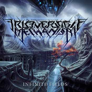 CD Irreversible Mechanism: Infinite Fields