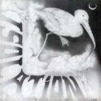 CD Isolation: Isolation