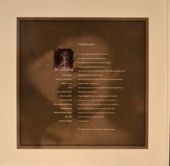 LP This Mortal Coil: It'll End In Tears DLX