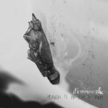 Album It's Everyone Else: Heaven Is An Empty Room
