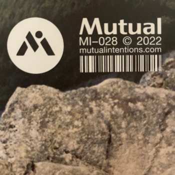 EP Ivan Ave: Mid Season LTD