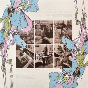 LP Ascending Into Silence CLR | LTD