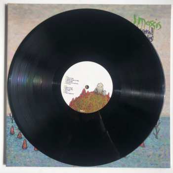 LP J Mascis: Several Shades Of Why