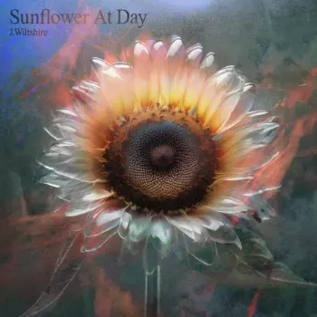 J. Wiltshire: Sunflower At Day