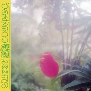 Album Jabu: Sweet Company
