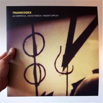 LP David Fenech: Transcodex LTD