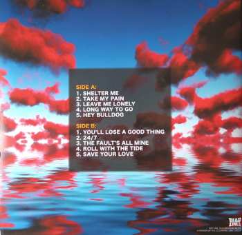 LP Jack Russell: Shelter Me CLR | LTD