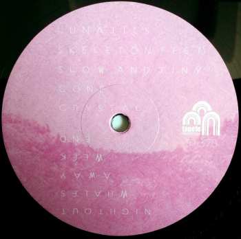 LP/CD Jaguwar: Ringthing