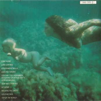 CD James: Gold Mother