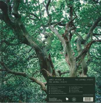 2LP James Holden: The Animal Spirits