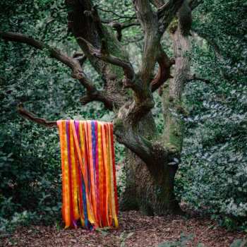 Album James Holden: The Animal Spirits