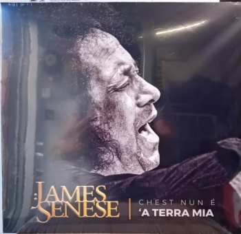 Album James Senese: Chest Nun A A Terra Mia